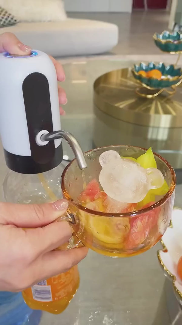 Electric Portable Water Dispenser Pump